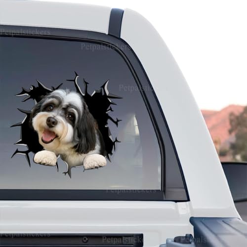 Image of Vinyl Dog Stickers - Car Decals for Women, Dog Lovers (Havanese)