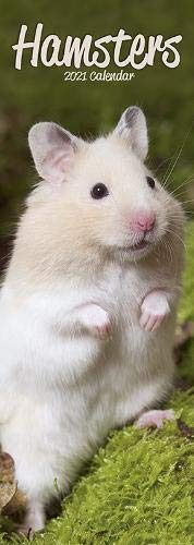 Télécharger Hamsters 2021 Slim Calendar Livre eBook France
