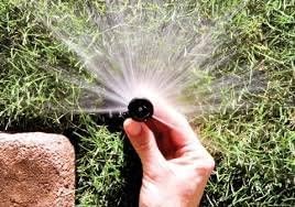 Rain Bird 1806VAN - 6" Professional Pop-up Sprinkler - 5 Pack - Adjustable Pattern (0 to 360 Degrees)