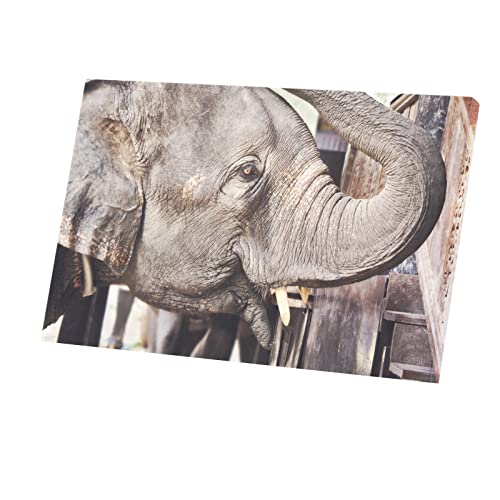 Tableau éléphant poster toile imprimée affiche déco murale 94x60cm