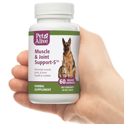 PetAlive Muscle & Joint Support-S for Bone and Joint Health and Comfort, - Image 4