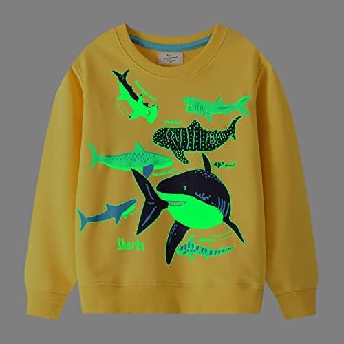 HSTiSan Toddler Boys Cotton Sweatshirt Luminous Dinosaur Pattern Pullover Sweater Long Sleeve Crewneck Tops Tee 2-7T 3 41XkA+BklML. AC