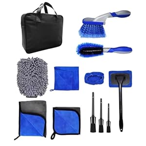 WSRY-Home 12 PCS Car Cleaning Kit Interior & Exterior Car Washing Kit with Microfibre Wheel Brush,Tyre Brush,Car Wash Mitt,Drying Towel,Car Detailing Brushes
