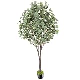 OXLLXO 6ft Artificial Eucalyptus Tree (72in) with Plastic Nursery Pot Faux Tree, Silver Dollar Leave