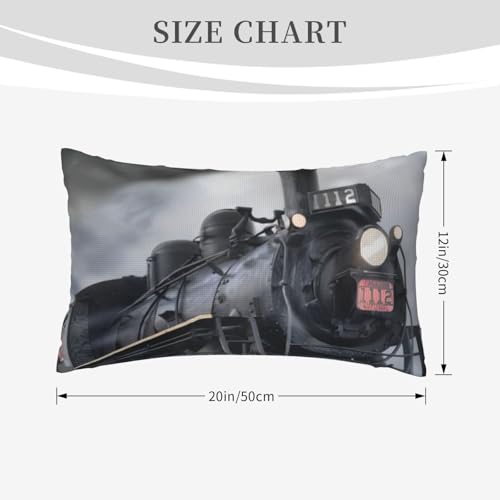 Taies d'oreiller en lin imitation train sans pli