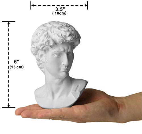 Garwor 6” Classic Greek David Head Resin Sculptures And Statues, Home Décor Office Décor, Michelangelo David Bust Figurine #TOP3