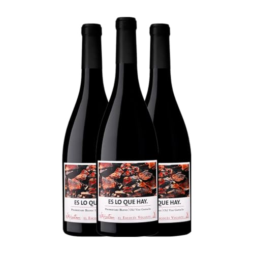 El Escocés Volante Garnacha Calatayud 75 cl – Pack 3 Botellas de Vino Tinto El Escocés Volante Garnacha Calatayud 75 cl – Pack 3 Botellas de Vino Tinto