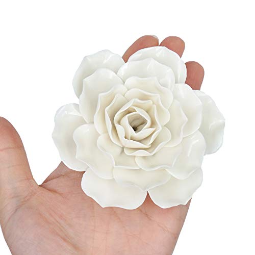 Minyulua Ceramic Flowers Wall Hanging Wall Decor Ceramic Lotus Incense Burner Flower Ceramic Flower Pediments For Living Room Bedroom Home Decor (White) #TOP4