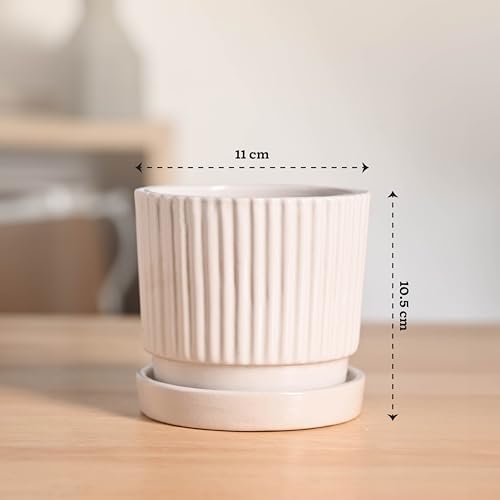 Image of UGAOO Roma Ceramic Pot |Indoor Ceramic Planter for Home, Office, Garden, Balcony - White (4 Inch)