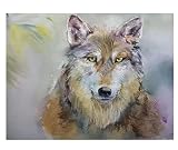 Coloriages Images par Numéros,loup animal,Peinture par numéros pour adultes et enfants Kits cadeaux pré-imprimés