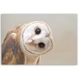 tableau hibou ou chouette IMPRESSION : Nouvelles technogies d'impression UVgel de chez Canon pour vous offrir une toile murale d'une netteté parfaite, couleurs profondes et résistantes aux rayons UV.