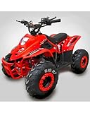 T-MOTO.IT #1 OFF ROAD LEADER