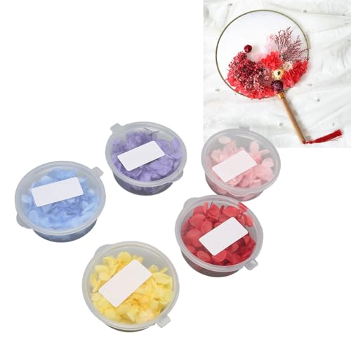 Flores secas prensadas de 5 cores, pétalas de hortênsia, flores secas para resinas, kit de flores se