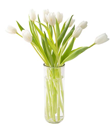 Image of KaBloom PRIME NEXT DAY DELIVERY - Bouquet of Fresh White Tulips with Vase .Gift for Birthday, Sympathy, Anniversary, Get Well, Thank You, Valentine, Mother's Day Fresh Flowers