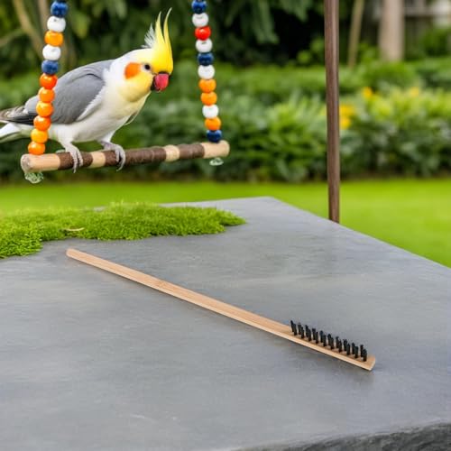 Limpieza de jaulas de pájaros eficiente con este set de 8 piezas negras contra suciedad persistente 6
