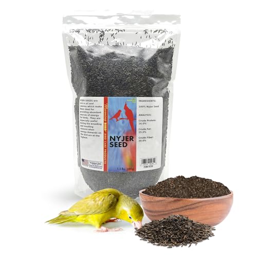 Morning Bird Nyjer Seed for Birds 1.5 lbs – Energizing Nutrition with Rich in Vitamins and Supplements – Ideal Bird Food for Breeding & Molting – Nyjer & Finch Seed for All Birds