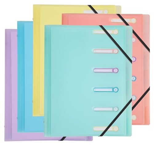 Trieur 6 compartiments Exacompta pour ne plus perdre vos feuilles A4 et ranger vos dossiers