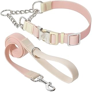 BELLA & PAL Adjustable Dog Collar, Martingale Dog Collar with Quick Release Buckle, Stainless Steel Chain, Waterproof Collar for Dogs, Dog Collar for Small Medium Large Dogs, M:35cm-45cm