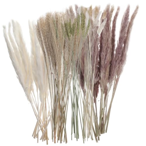 PRETYZOOM 5 Caixas Pompas Brancas Buquê Vasos De Casamento Decoração De Casamento Buquê Boquets De C