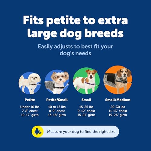 PetSafe Easy Walk Hundegeschirr, kein Ziehen, perfekt für Leinen- und Geschirr-Training, verhindert, DASS Haustiere bei Spaziergängen ziehen und ersticken – Größe M/L, Anthrazit/Schwarz