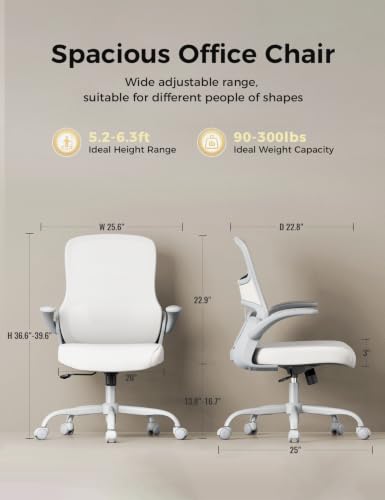 premium ergonomic chair review product image