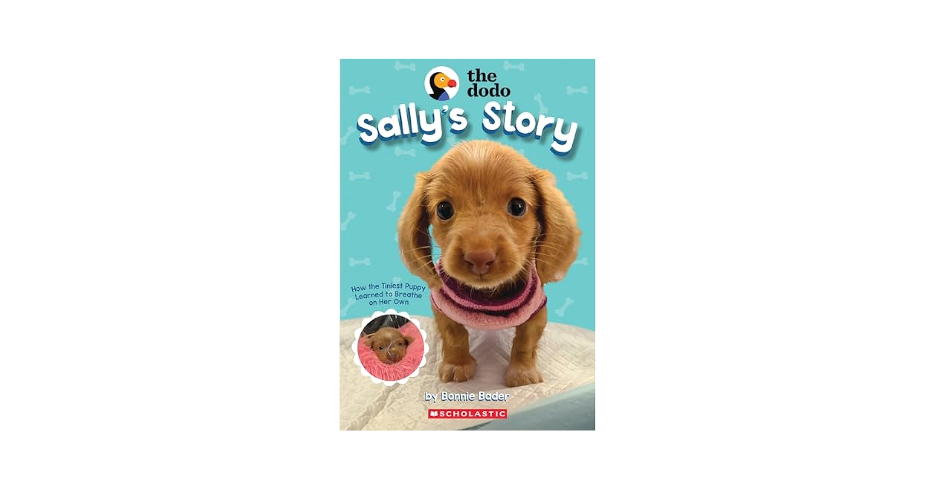 【中古】 Rosie’s Story (the Dodo)/SCHOLASTIC/Bonnie Bader Rosie's Story (The Dodo): Bader, Bonnie: 9781338845174