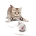 YOFUN Interactive Cat Toy 360 Degree Self Rotating Ball Automatic Light Toy for Pet, Batteries Included, Plus Extra Batteries, White