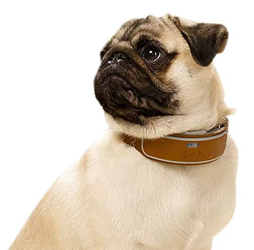 Link AKC Plus Smart Dog Tracker (Classic) - GPS Location Tracker, Activity Monitor, Waterproof, and More (LPLUSC), Leather, 1 OZ - Thumbnail 5