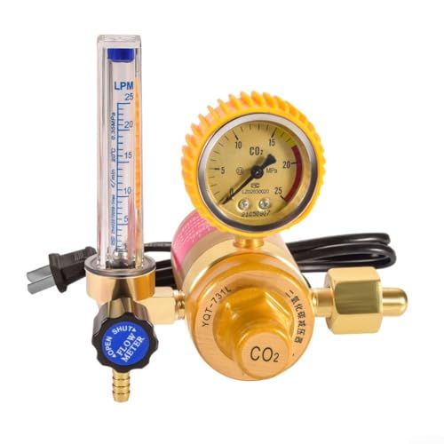Régulateur de pression gaz industriel 220V filetage G5/8 - 2