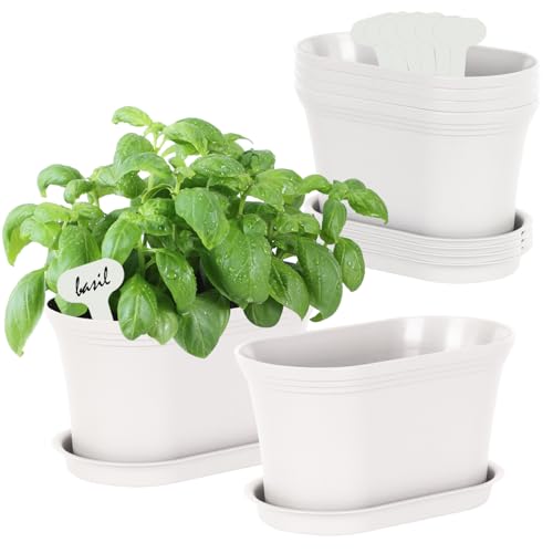Oliz Windowsill Garden Pots, White Plastic Flower Pots with Drainage Tray for Herb, Succulents, African Violet (Pack of 6)