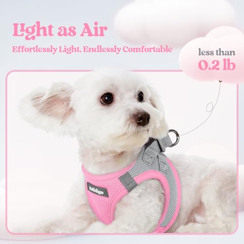Image of rabbitgoo Dog Harness Medium Sized and Leash Set, Step-in Puppy Pet Vest