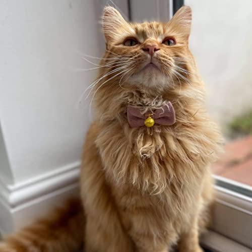 YUDOTE Ultra-soft Collar Natural Cotton Corduroy Made for Cats with Sensitive Skin,Lightweight Kitten Collars with Quick-release Buckle and Removeable Bow-tie,Light Pink Pack of 1 - Image 2