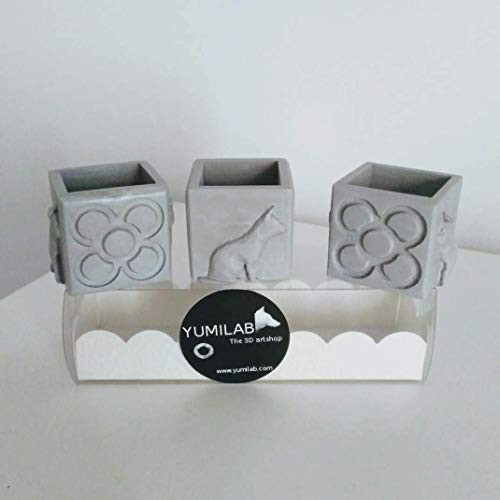3 Mini Macetas cúbicas Gatos y Panots, Barcelona, despedida de soltera, boda Barcelona, evento Barcelona, regalo de Barcelona, gatito, gato