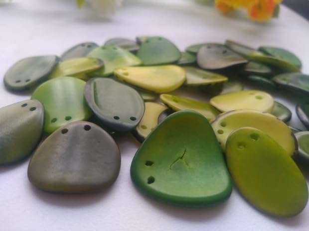 20 Green Slices Curved - Nail Shape from Colombia Rainforest Top drilled Two Holes Size: 2-2.5 x 2-2.5 cm R-1049