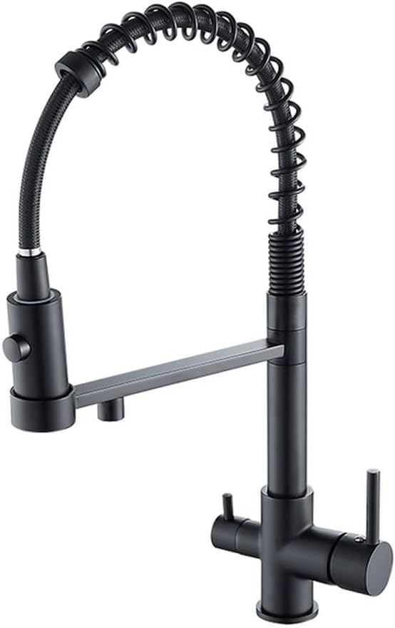 Filtre à eau chaude et froide intégré au robinet noir pour une cuisine saine