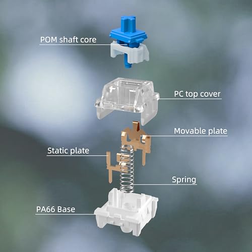 Image of Zhouwang Keyboard Clickers for 3D Prints,36 Pcs Blue Clicky Switches Kit | Responsive /MX Style /Crisp Click Sound /Pre-Lubred /Hot-swap /3 Pin Switches for Mechanical Gaming Keyboard & 3D Printed Fidgets