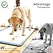 Pawtasy Silicone Pee Pad Holder for Dogs Fits Up to 24
