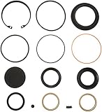 R. H. Sheppard 5545741 Sector Shaft Kit with Snap Ring/L-Seal