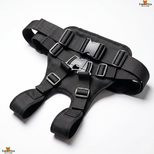 Image of Baby & Kids Safety Belt for Two-Wheelers - Toddler Harness Strap for Bike & Scooty, Child Riding Safety Belt for 2 to 6 Years, Adjustable, Comfortable, Easy-Use (Black - Premium)