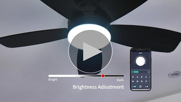 SFY✩.*˚ JSAITEE Ceiling Fans with Lights, 42 Inch Low Profile