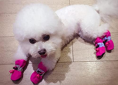 Chaussures pour petit chien chiot légères antidérapantes t38 - 7