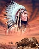 Diamond Art Painting Indian Chief and Fighting Buffalo Native American Kit for Adults Full Round Drill Diamond Art Painting by Number Kits Gem Art Wall Home Decor(11.8 x15.8inch)