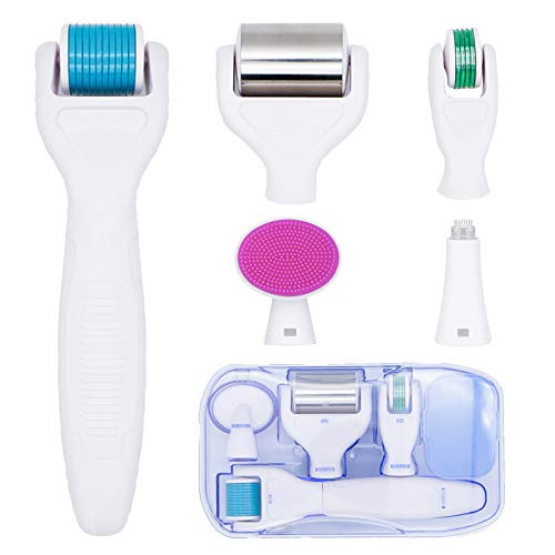 6 in 1 Derma Roller Microneedling Kit - 0.25mm and 0.3mm Microneedle Roller For Home Skincare,Cosmetic Non-Invasive Micro Needle Tool,Ice Roller for Face,Dermaroller with 5 Replaceable Roller