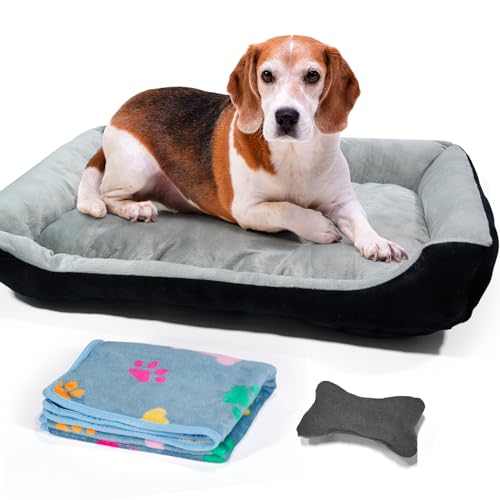 Hundebett Mittelgroße Hunde, mit erhöhte Ränder und abwaschbar Hundebetten, Hundematratze mit rutschfestem Boden, Hundematte für große mittelgroße Hunde-80×60×15cm (Grau)