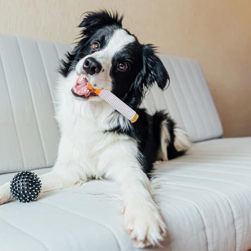 FORYNXHWIN Hundezigaretten Spielzeug, Quietschendes Hundespielzeug, Zigaretten Spielzeug Hund mit Hundespielzeug Zigarettenpackung, lustiges Zigaretten-förmiges Plüsch-Hunde-Selbstspielspielzeug