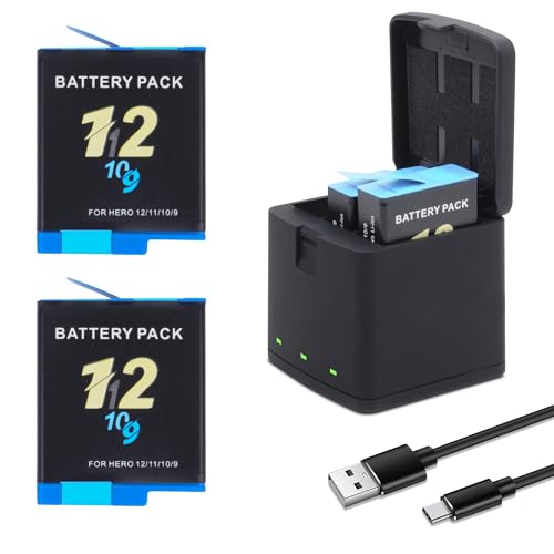 Hero 12/11/10/9 Batteries & Charger (2-Pack)