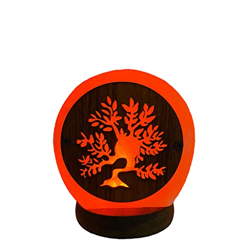 SudoreWell Lampada a LED USB rosa sale sale 3D Tree/Albero della vita dalla Salt Range Pakistan – Altezza ca. 10 cm