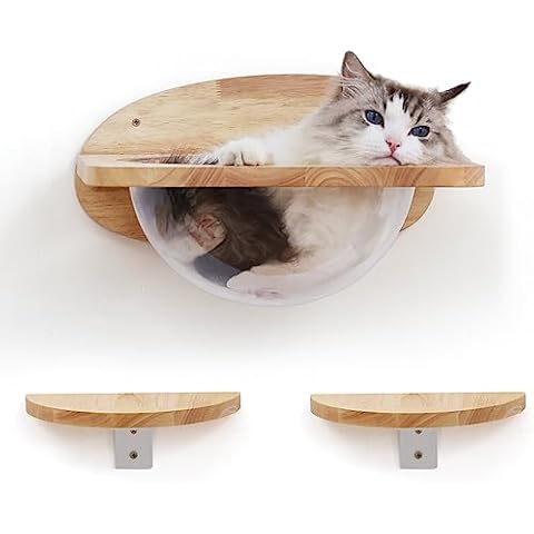 FUKUMARU Cat Wall Furniture Set, Transparent Capsule Cat Wall Shelves with 2 PCS Pedals - Premium Kitty Bed for Sleeping, Playing, Climbing, and Lounging - Easily Holds Up to 35 Lbs Cover