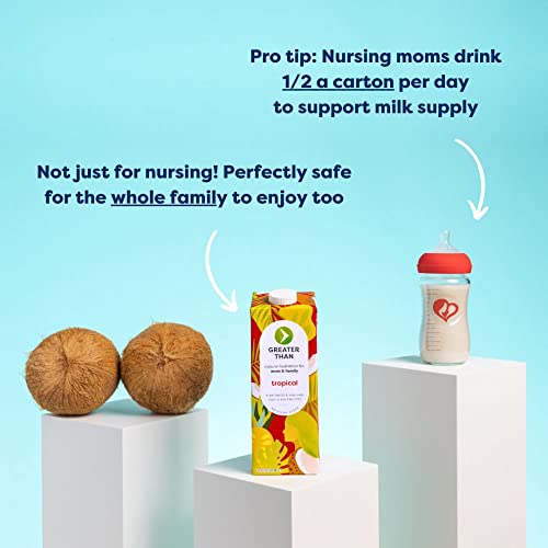 Greater Than Vegan Breastfeeding Support & Breast Milk Supply Aid, Organic Postpartum Nursing Supplement With No Sugar Added, Gluten Free & Keto All Natural, Coconut Water Electrolyte Drink, Tropical (6 Pack) #TOP4