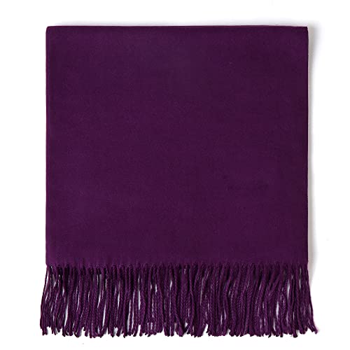 Americhamp Super Soft Elegant Scarf For Women Men Cashmere Feel Winter Fall Fashion Fringe Gift Lightweight Solid Cozy (Purple) #TOP1